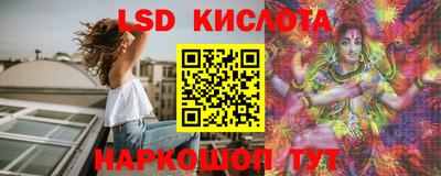 стафф Кингисепп