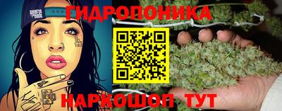 прущая мука Кимры