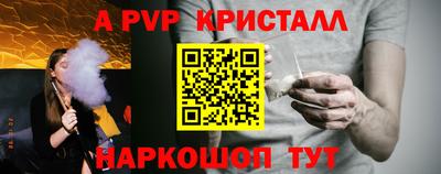 стафф Кингисепп