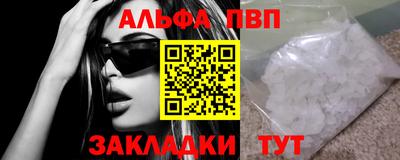 стафф Кингисепп