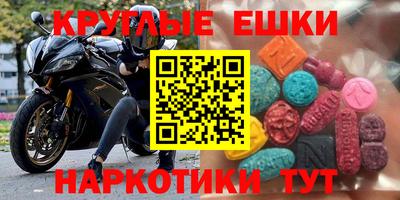 стафф Кингисепп