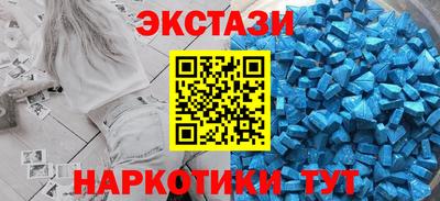 стафф Кингисепп