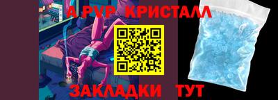стафф Кингисепп
