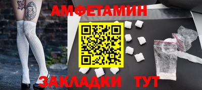 стафф Кингисепп