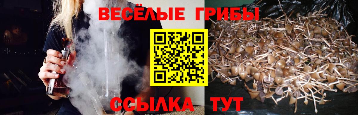 Урай  Галлюциногенные грибы Cubensis  Вход с VPN 
